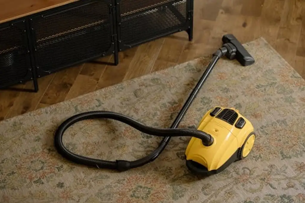 Mujer estrangula a su amiga con el cable de la aspiradora en España