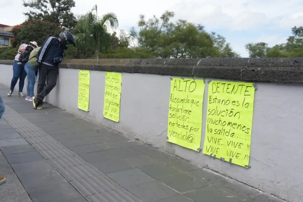 Imagen Instalarán protecciones en el puente de Xallitic de Xalapa; habrá vigilancia 24 horas