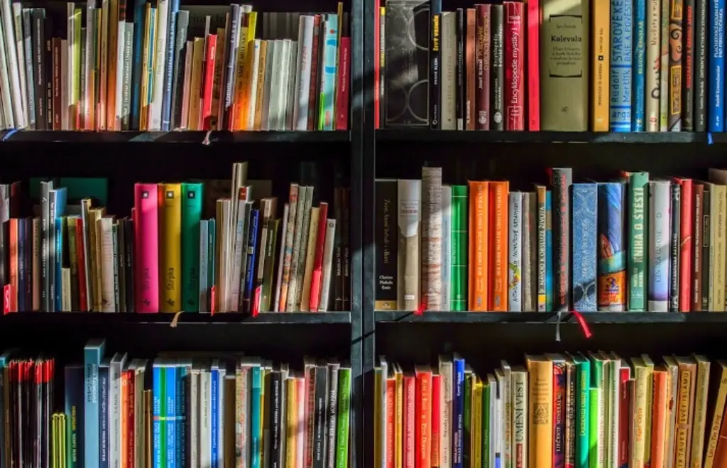Imagen Si te gusta leer, invitan a comprender la lectura 'El maravilloso mundo de los libros' 