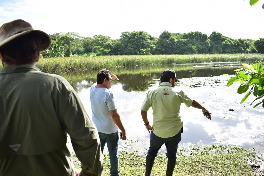 Imagen Por mortandad de peces, evalúan laguna de San Julián, Veracruz 