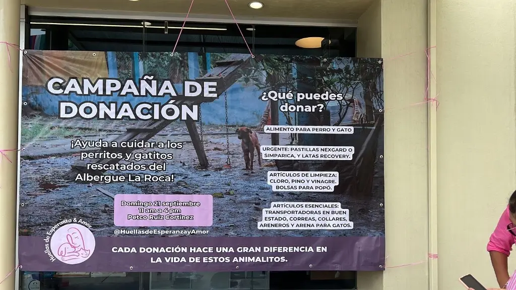 Imagen Asociación Huellas de Esperanza realiza colecta de víveres para perritos que estaban en el albergue La Roca