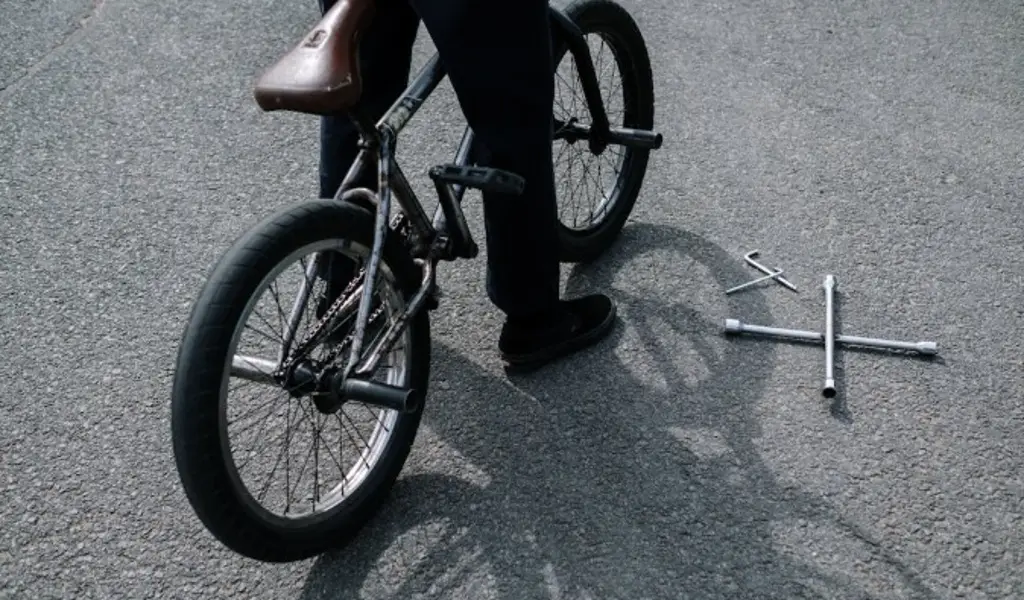 Imagen Esto propone colectivo para promover el uso de la bicicleta en Veracruz - Boca del Río 