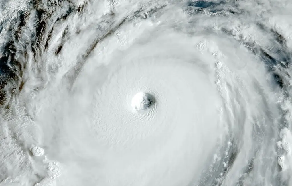 Imagen Hong Kong activa todas las alarmas ante supertifón Ragasa, la tormenta más potente del año