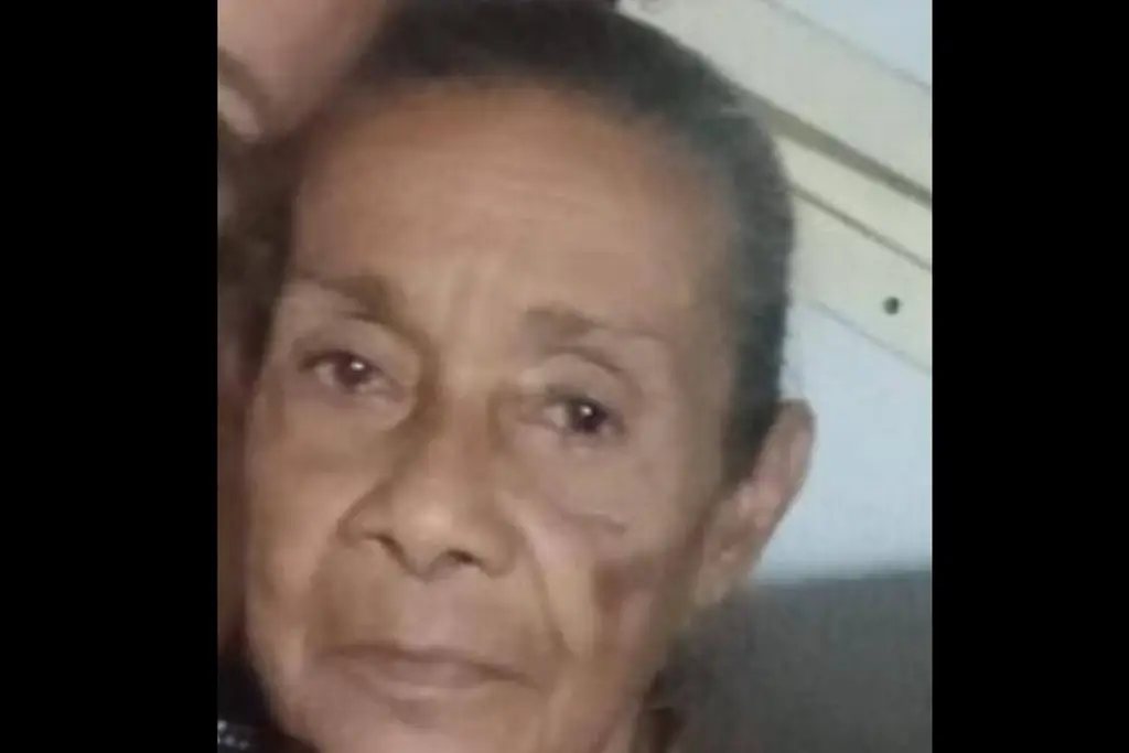 Imagen Desaparece adulta mayor en Veracruz 