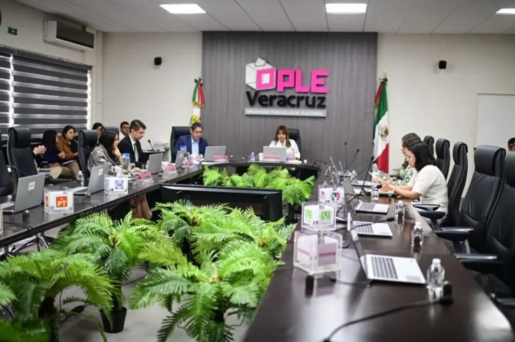 Imagen OPLE lanza convocatoria para integrar consejo general juvenil