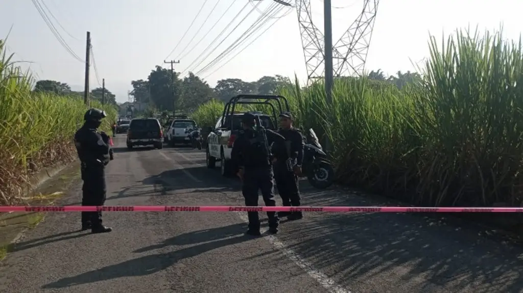 Imagen Asesinan a hombre en cañales de Ixtaczoquitlán, Veracruz; esto se sabe 