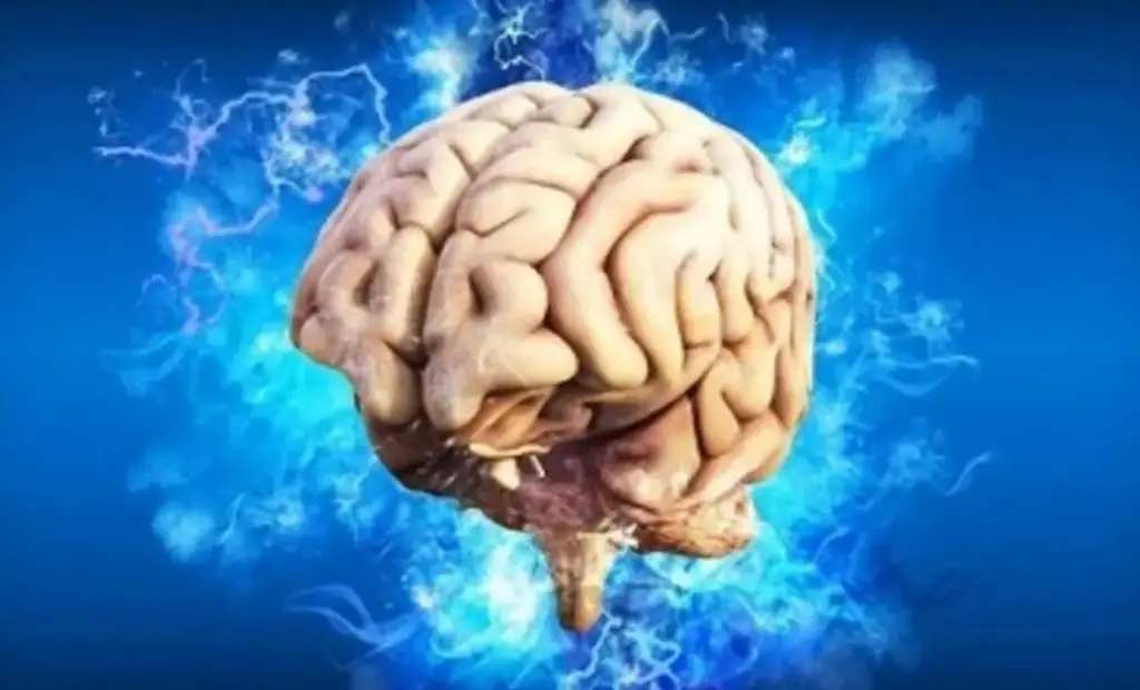 Imagen Conoce un poco acerca de la ataxia; síntomas y en qué etapa de la vida se desarrolla