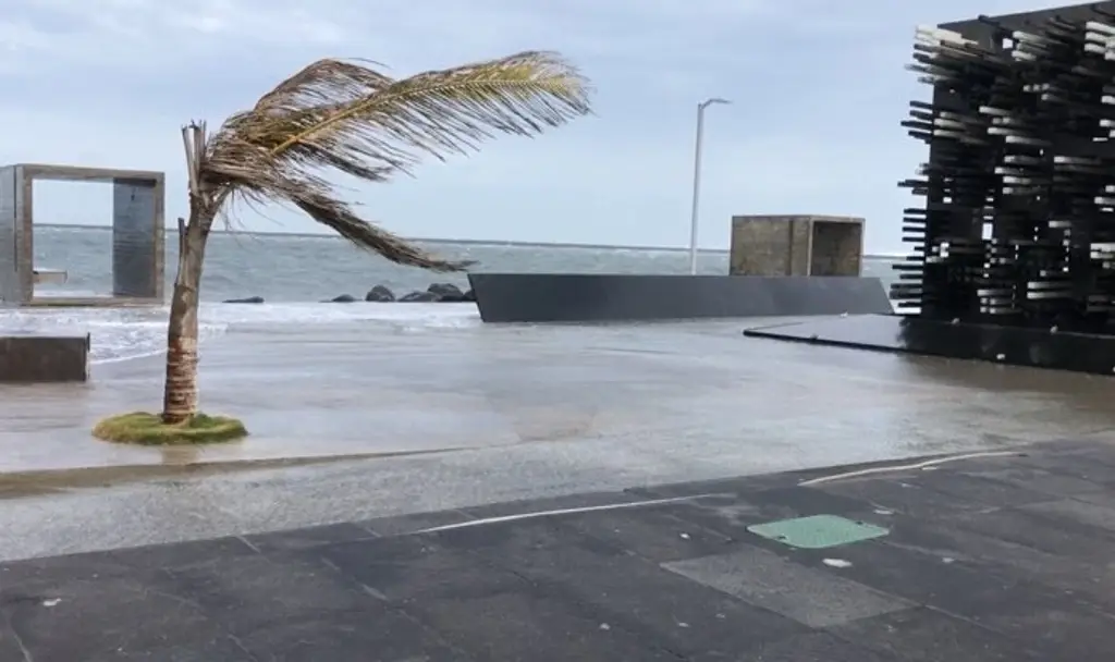 Imagen Este fin de semana podría aumentar el viento en la costa Veracruz - Boca del Río