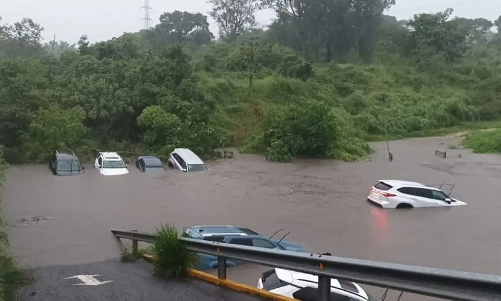 Imagen Córdoba, con inundaciones tras fuerte lluvia; daños cuantiosos en agencia de autos (+Video)