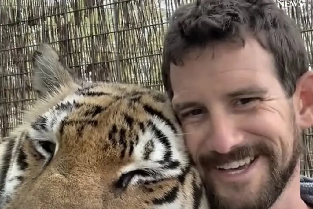 Imagen Tigre ataca y mata a su entrenador durante un espectáculo (+Video)
