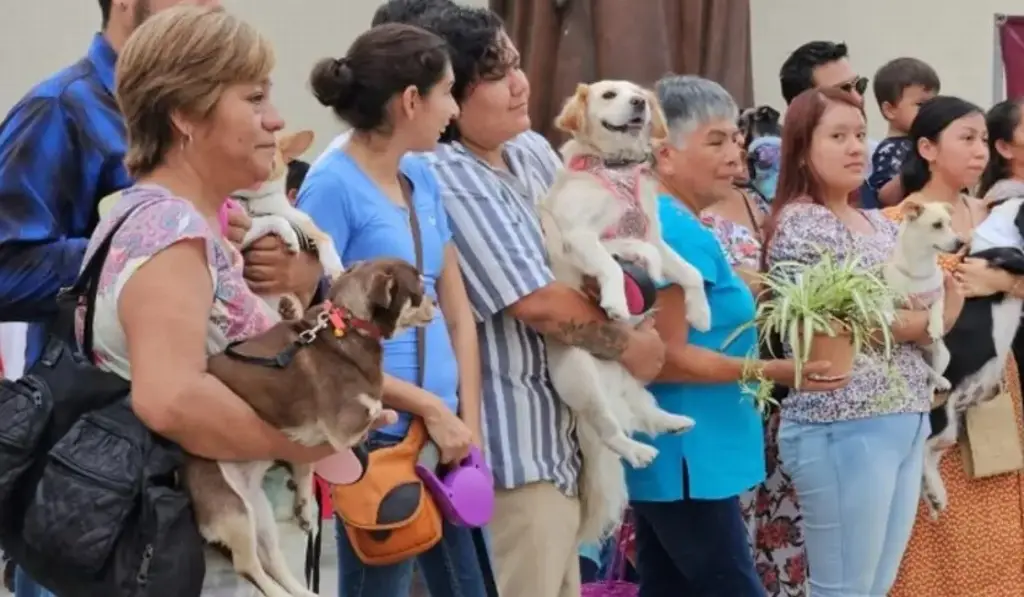 Imagen Habrá bendiciones de mascotas en Catedral de Veracruz, checa cuándo