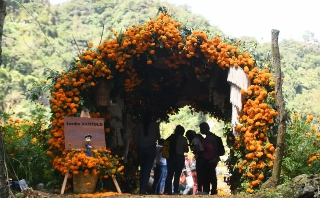 Imagen Esperan recibir más de 8 mil personas por Día de Muertos en San Pablo Coapan, Veracruz
