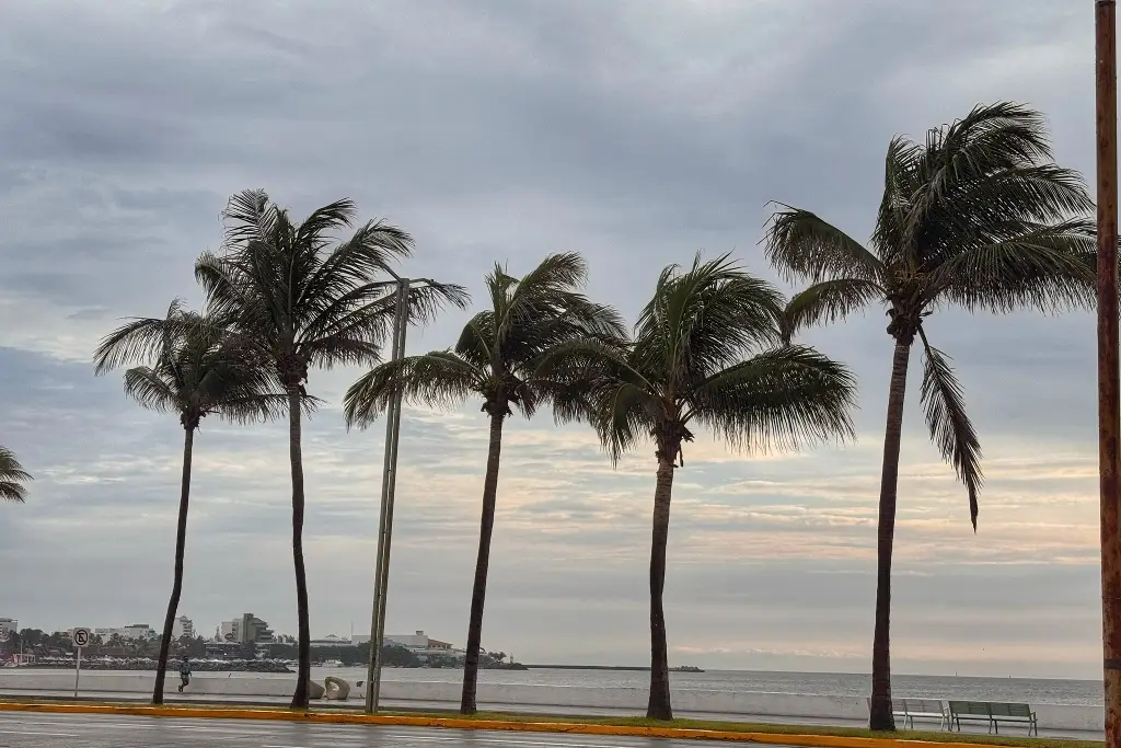 Imagen ¿Cómo estará el tiempo este martes en Veracruz? Checa el pronóstico antes de salir de casa