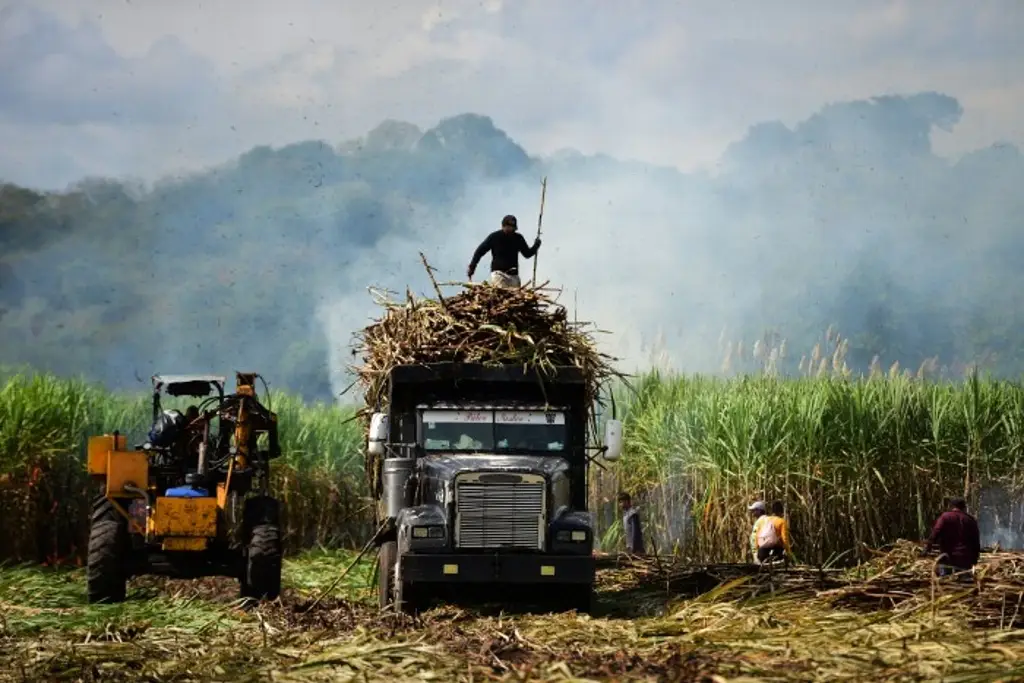 Imagen Gobierno federal impulsa proyecto de producción de etanol en Veracruz