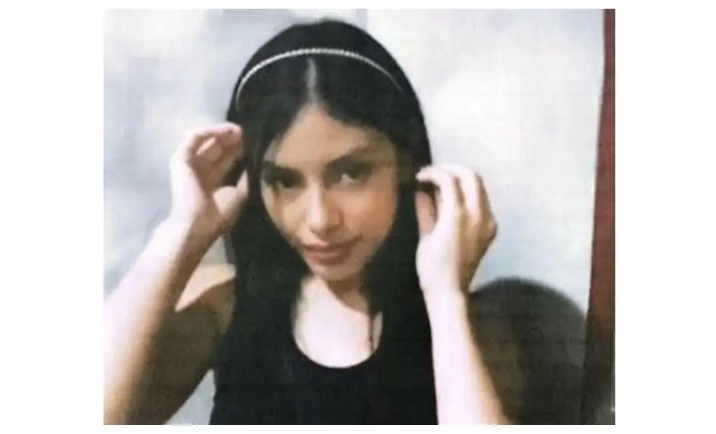 Imagen Buscan a menor de 14 años desaparecida al norte de Veracruz