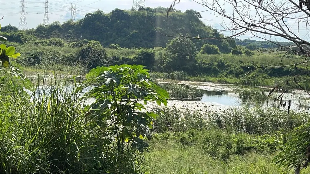 Imagen Se ahoga hombre en laguna de Veracruz; así ocurrió