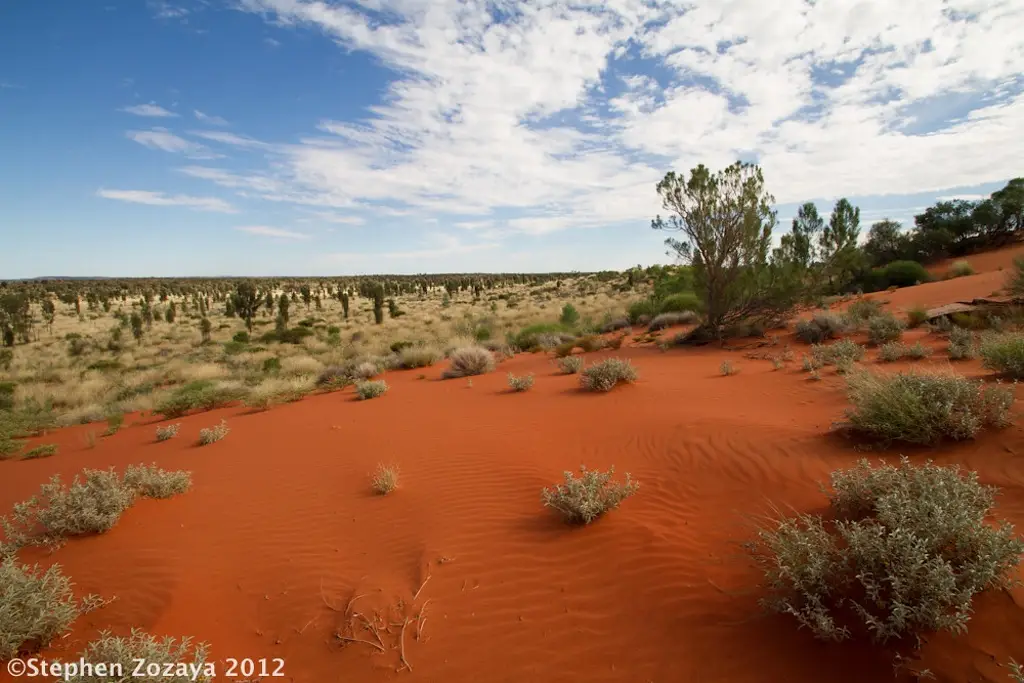 Imagen Ejército australiano busca a niño de cuatro años que lleva seis días en el desierto