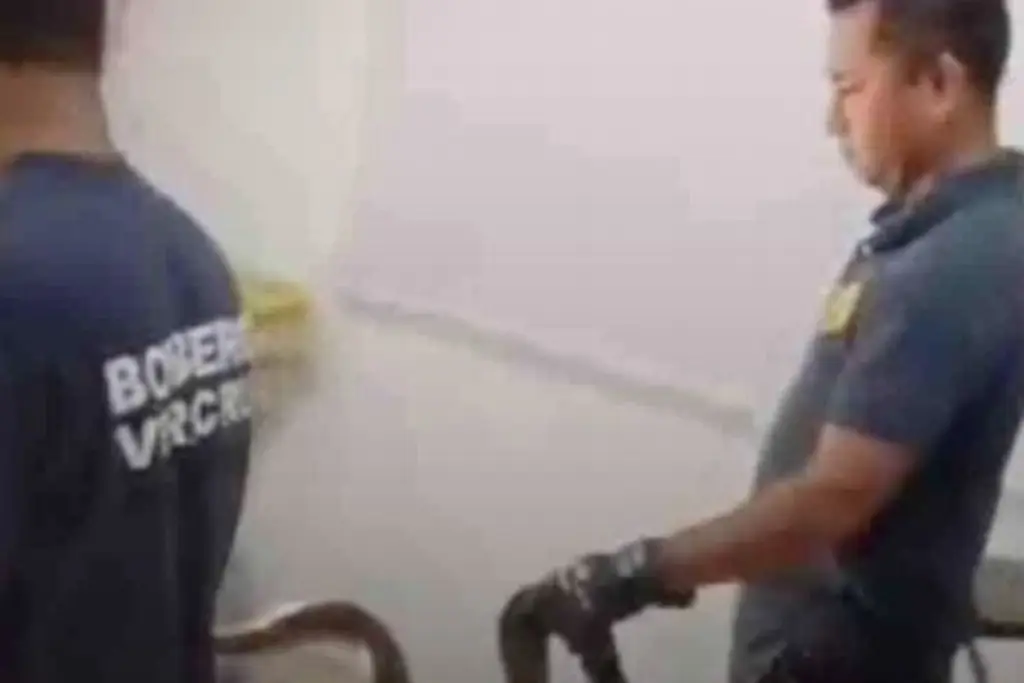 Imagen Culebra los sorprende al llegar a sus clases. Esto piden los padres de familia 