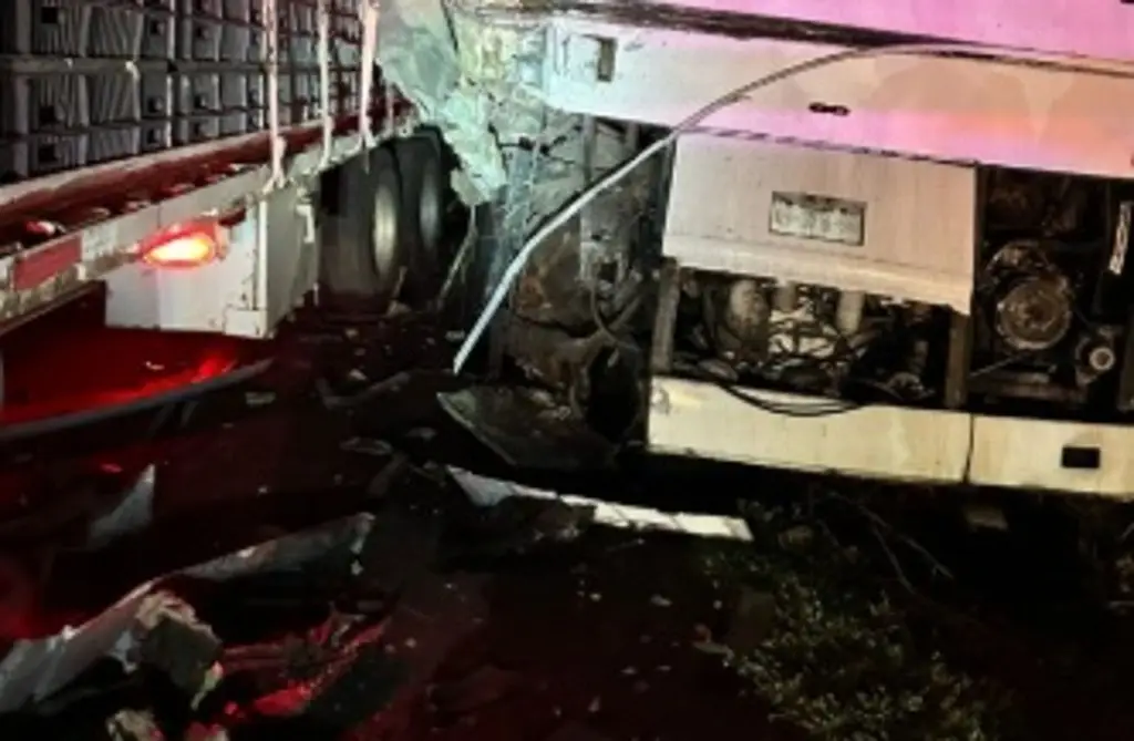 Imagen Se accidenta autobús de grupo musical en autopista de Veracruz; esto se sabe 