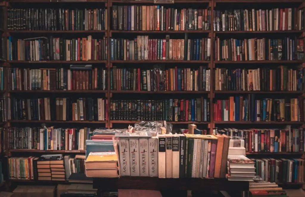 Imagen Si te gusta leer, invitan a comprender el libro 'No te creas todo lo que piensas'