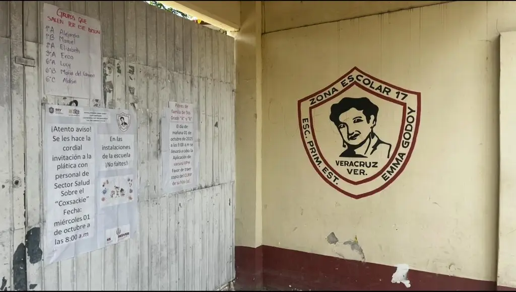 Imagen Confirman dos casos de coxsakie en una escuela del puerto de Veracruz