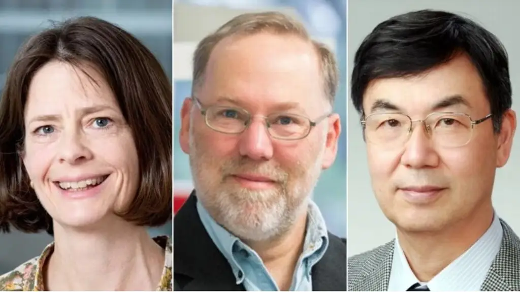 Imagen Recibieron el Premio Nobel de Medicina 2025 por este descubrimiento que da esperanza a millones