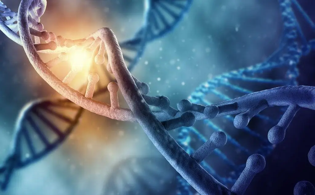 Imagen ¿ADN extraterrestre en humanos? Científico propone hipótesis controvertida