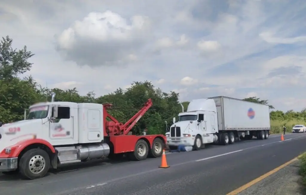 Imagen Así recuperaron 2 tractocamiones con reporte de robo en autopista de Veracruz 