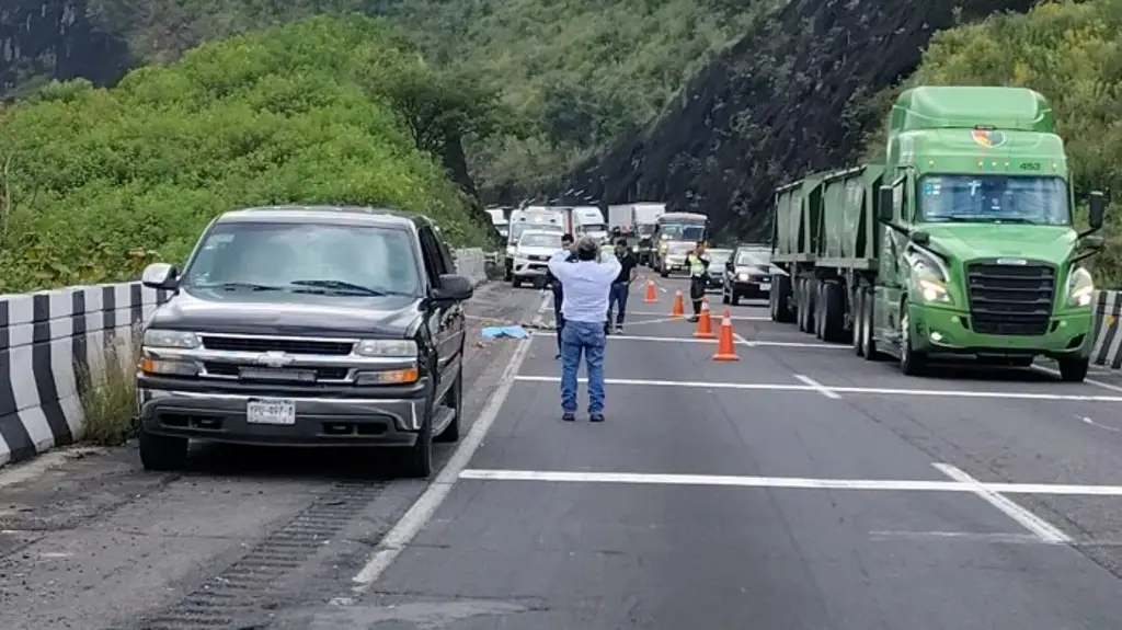Imagen Muere atropellado en autopista de Veracruz, ¿Cómo ocurrió?