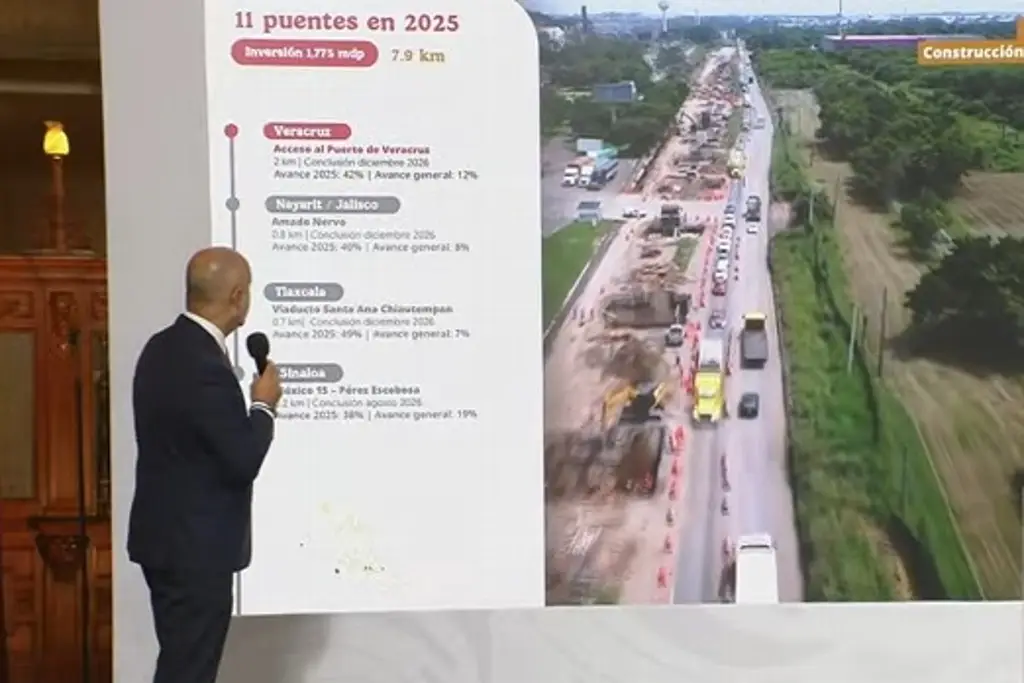Imagen Avanza obra de acceso al puerto de Veracruz ¿Cuándo termina?