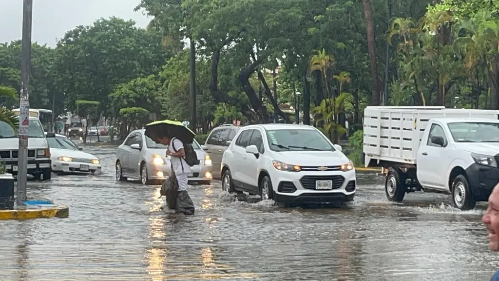 Imagen Sistema de baja presión se encuentra frente a costa de Veracruz ¿Seguirán las lluvias?