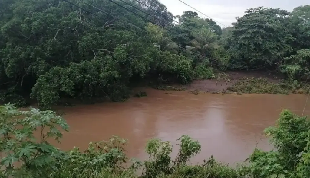 Imagen Así están los niveles de los ríos en Veracruz