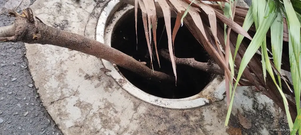 Imagen Peligrosa alcantarilla sin tapa en Veracruz; cabe una persona adentro