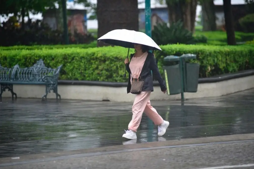 Estos daños causaron fuertes lluvias en Xalapa, Veracruz 