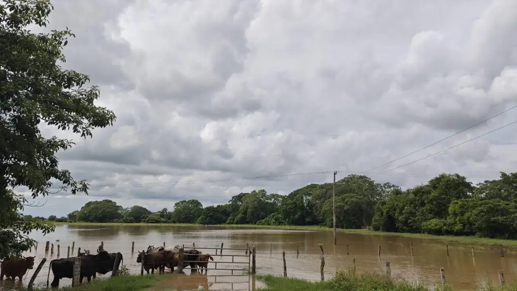 Imagen Crece Río Blanco en Tlalixcoyan, Veracruz; estas son las afectaciones