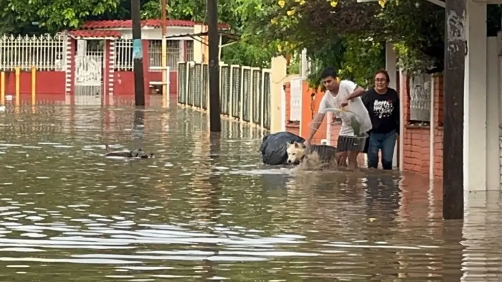 Imagen Habilitan centros de acopio en Boca del Río para damnificados en Poza Rica; esto puedes llevar