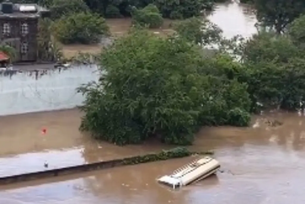 Imagen Niño se aferra a un árbol tras ser arrastrado por la corriente en Poza Rica (+Video)