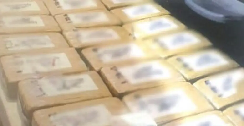 Imagen Dan 10 años de prisión a seis ecuatorianos por transporte de cocaína en México