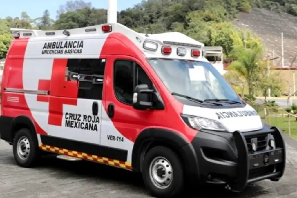 Imagen Envía la Cruz Roja más de 80 voluntarios y 25 toneladas de ayuda al norte de Veracruz