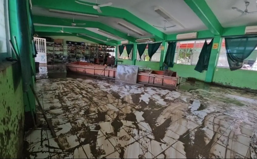 Imagen 'Perdimos todo': Así los daños en escuelas al norte de Veracruz 