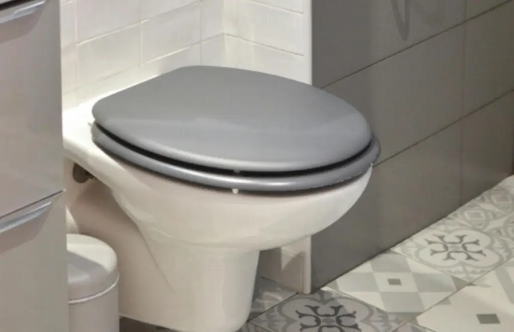 Conoce algunos riesgos de pasar mucho tiempo sentado en la taza del baño 