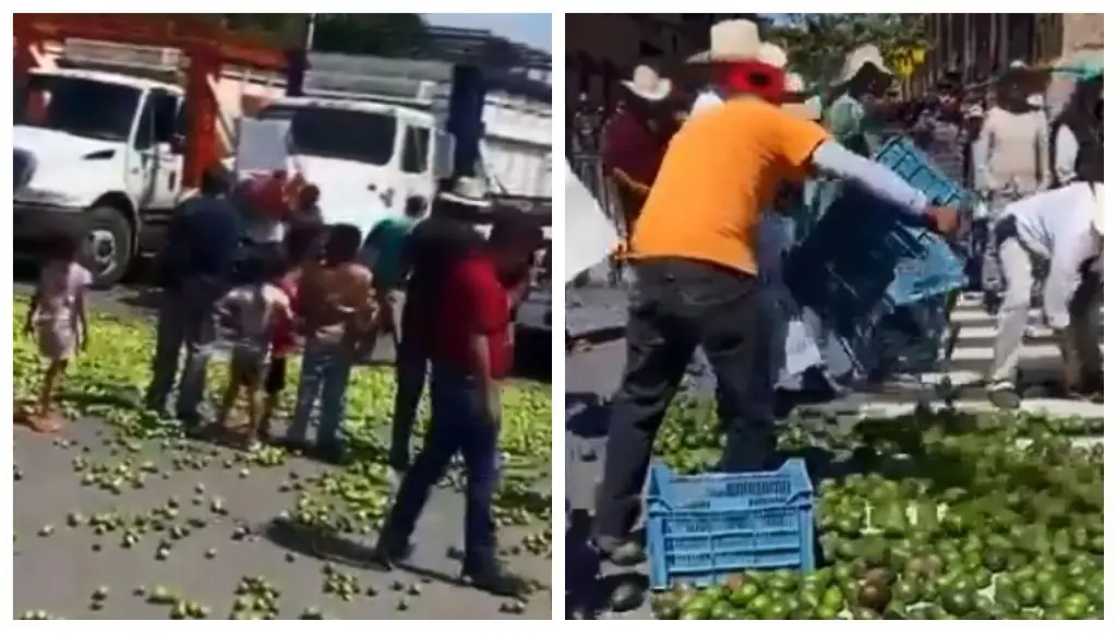Imagen Campesinos tiran al piso limones y aguacates durante paro nacional (+Video)