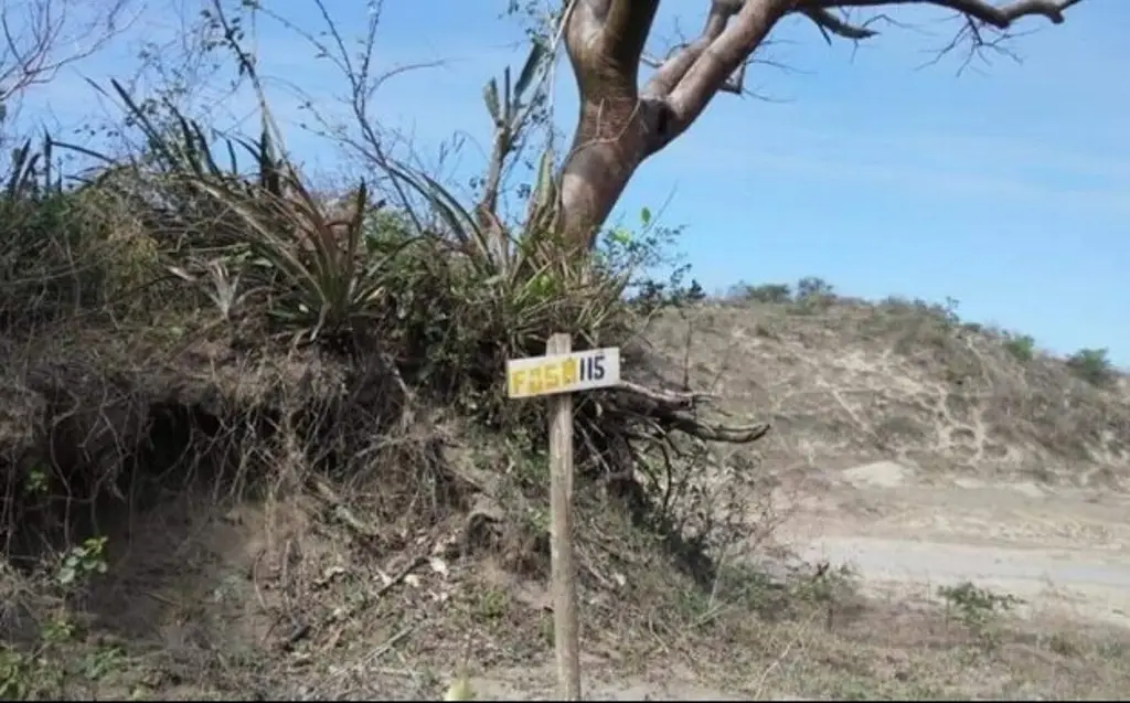Imagen Confirman hallazgo de 60 cuerpos en fosa de Sonora; ya hay detenidos