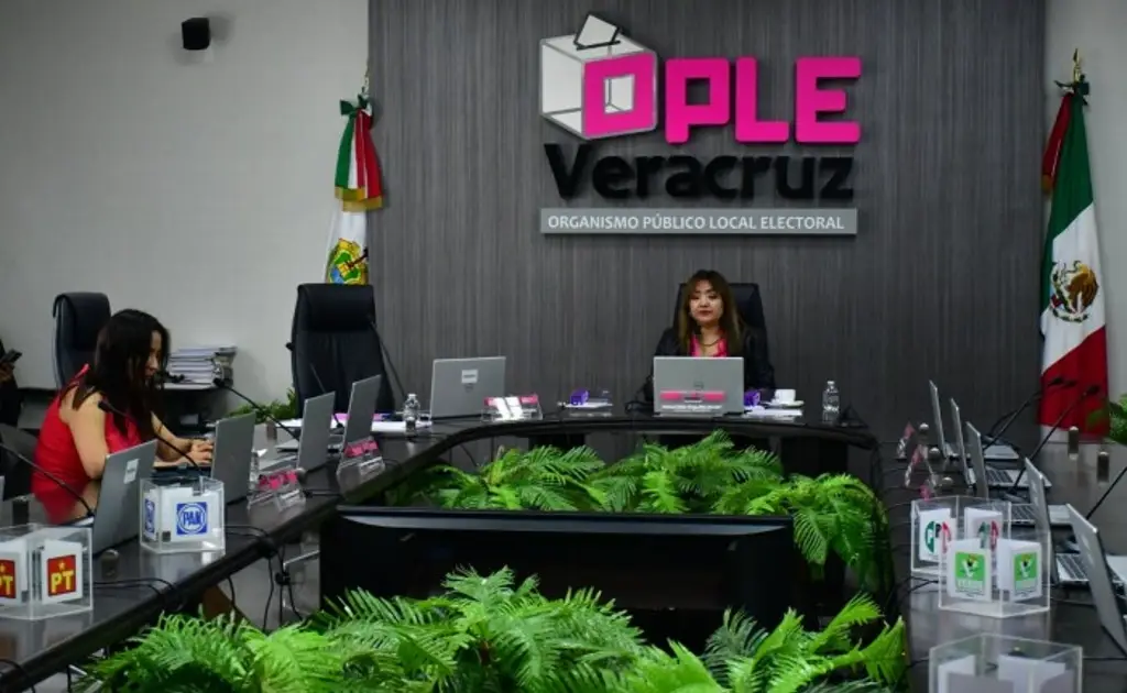 Imagen OPLE entrega constancia de mayoría a Partido Verde en Chicontepec, Veracruz