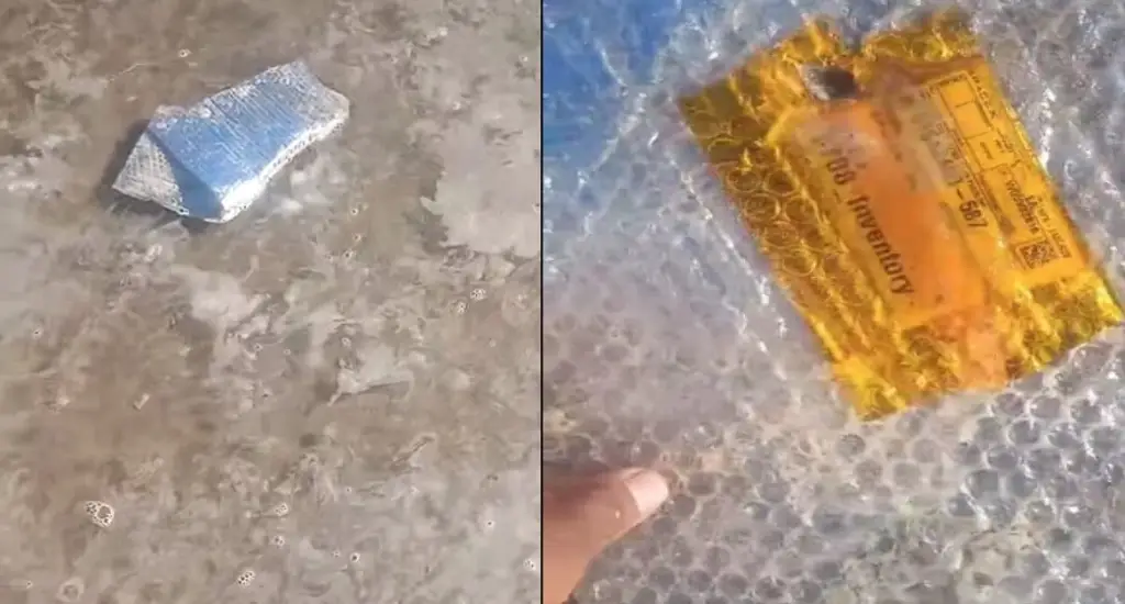 Imagen Encuentran basura espacial y delfines muertos en playa 
