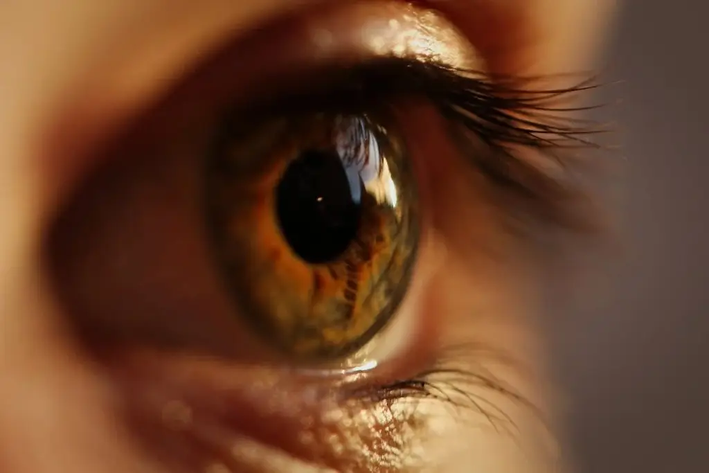 Imagen Una prótesis ocular permite leer a personas con ceguera irreversible