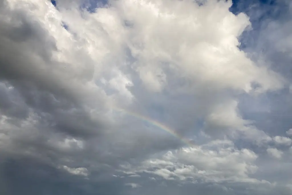 Imagen El arcoíris vuelve a pintar el cielo de Veracruz