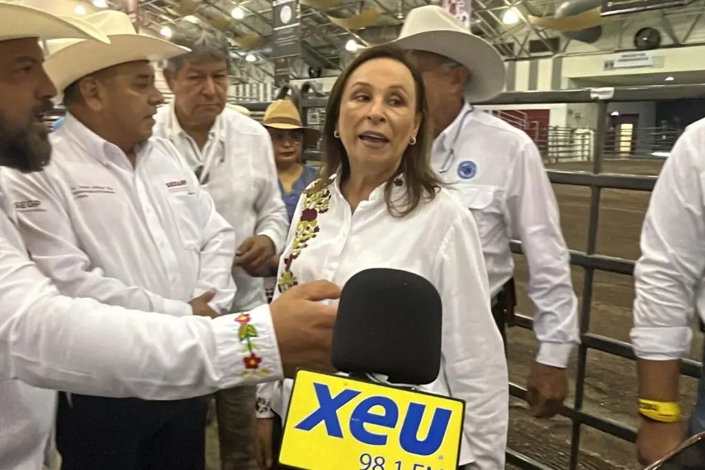 Imagen Serán más de mil mdp para la zona afectada en Veracruz: Rocío Nahle
