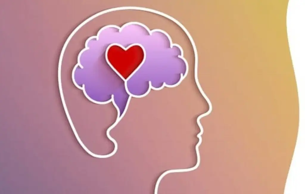 Imagen ¿Cómo tratar la salud mental? Esto aconseja el IMSS Veracruz Norte 