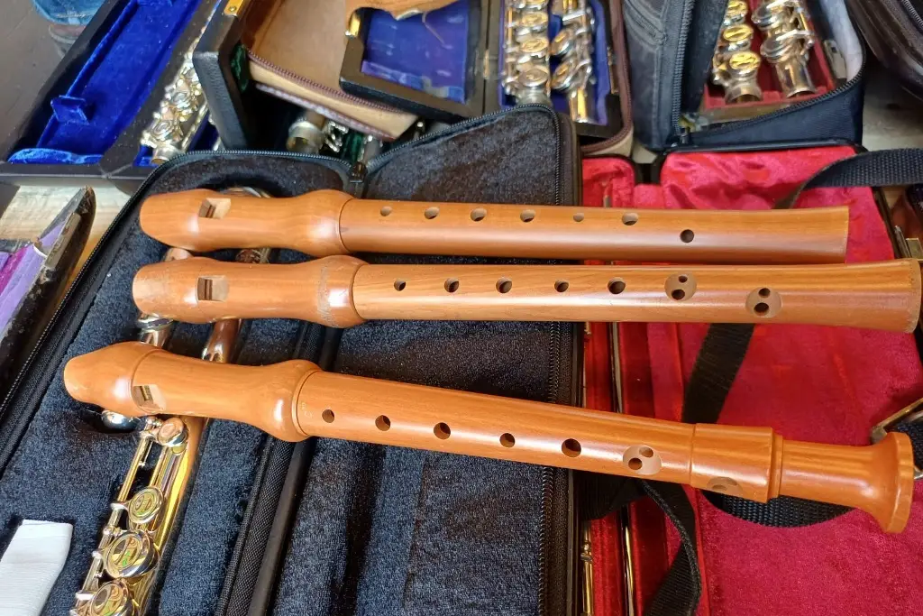 Imagen Desde Veracruz, entregan instrumentos musicales donados a niños de Chiapas; esto se sabe